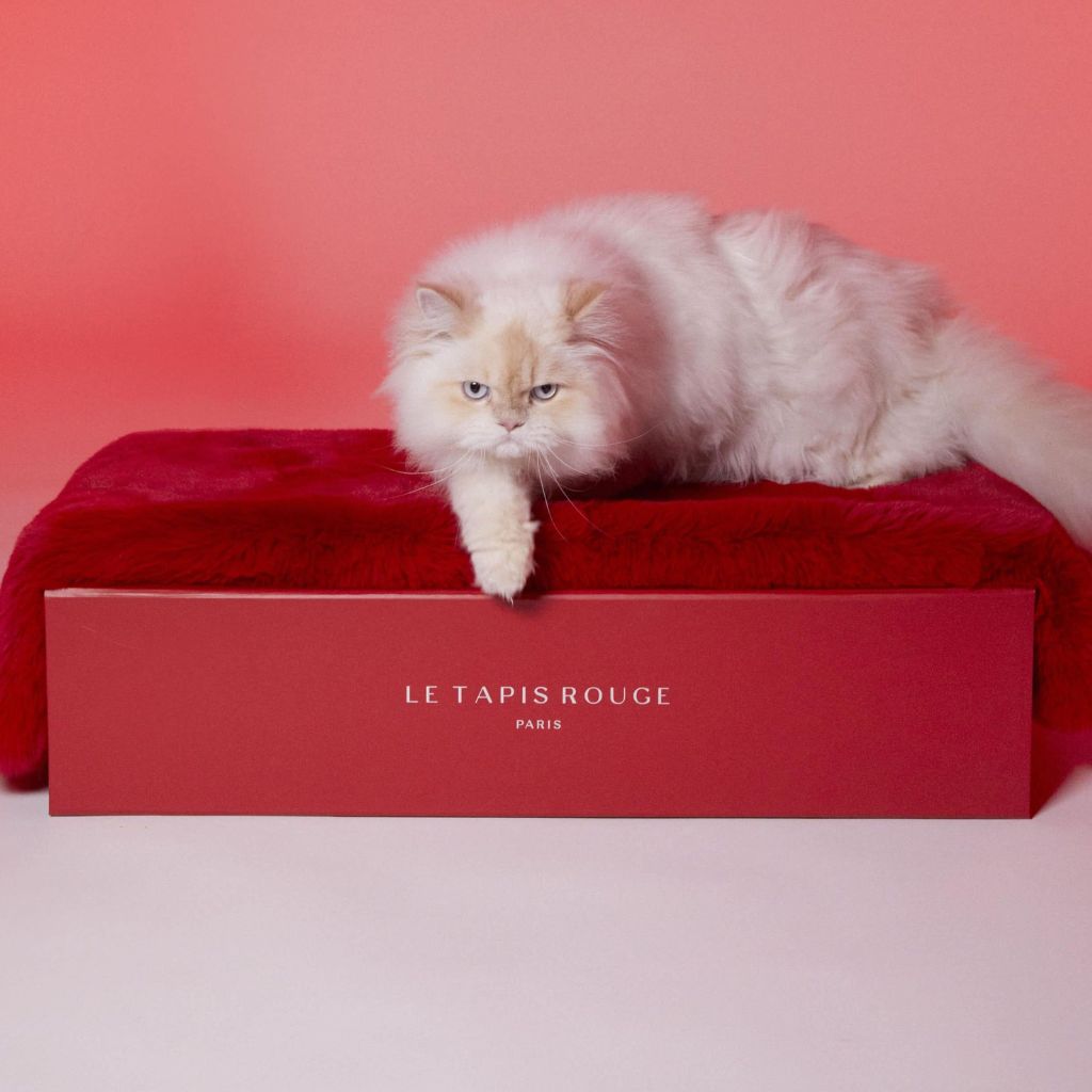 Le Tapis Rouge Paris | Luxury faux fur rug for cats